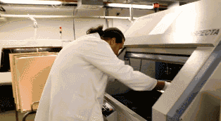 6.gif